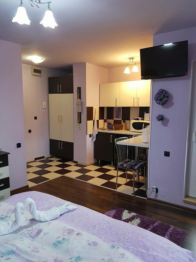 Appartamento Garsoniera Cristina Băile Felix Esterno foto
