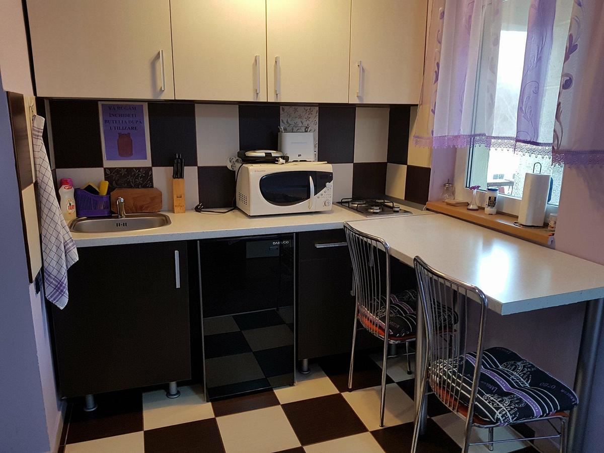 Appartamento Garsoniera Cristina Băile Felix Esterno foto