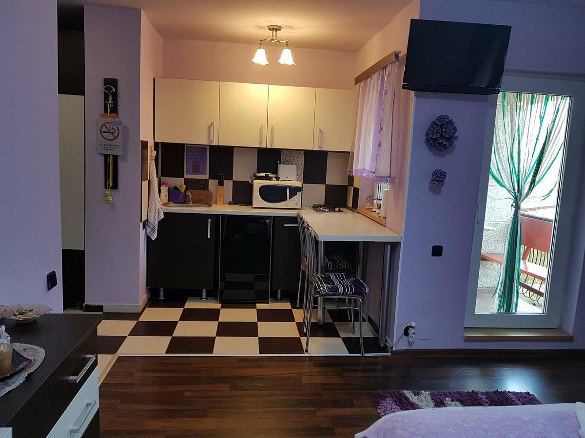 Appartamento Garsoniera Cristina Băile Felix Esterno foto