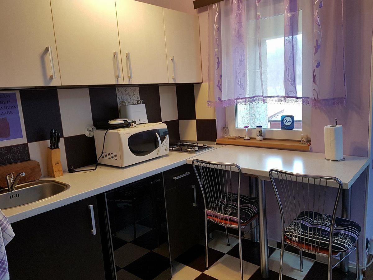 Appartamento Garsoniera Cristina Băile Felix Esterno foto