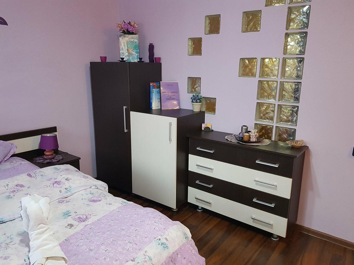 Appartamento Garsoniera Cristina Băile Felix Esterno foto