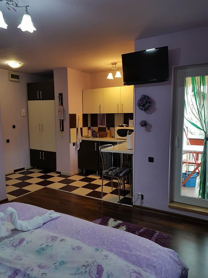Appartamento Garsoniera Cristina Băile Felix Esterno foto