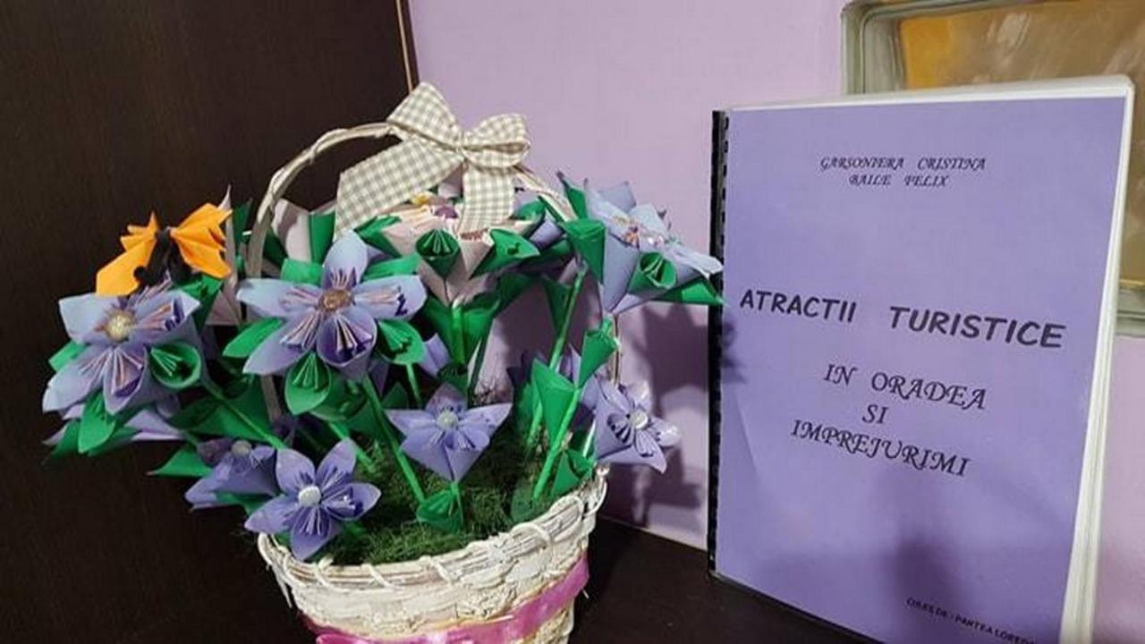 Appartamento Garsoniera Cristina Băile Felix Esterno foto
