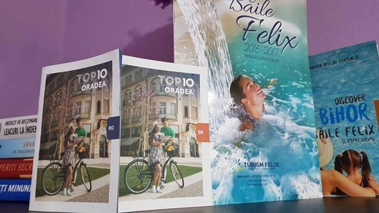Appartamento Garsoniera Cristina Băile Felix Esterno foto