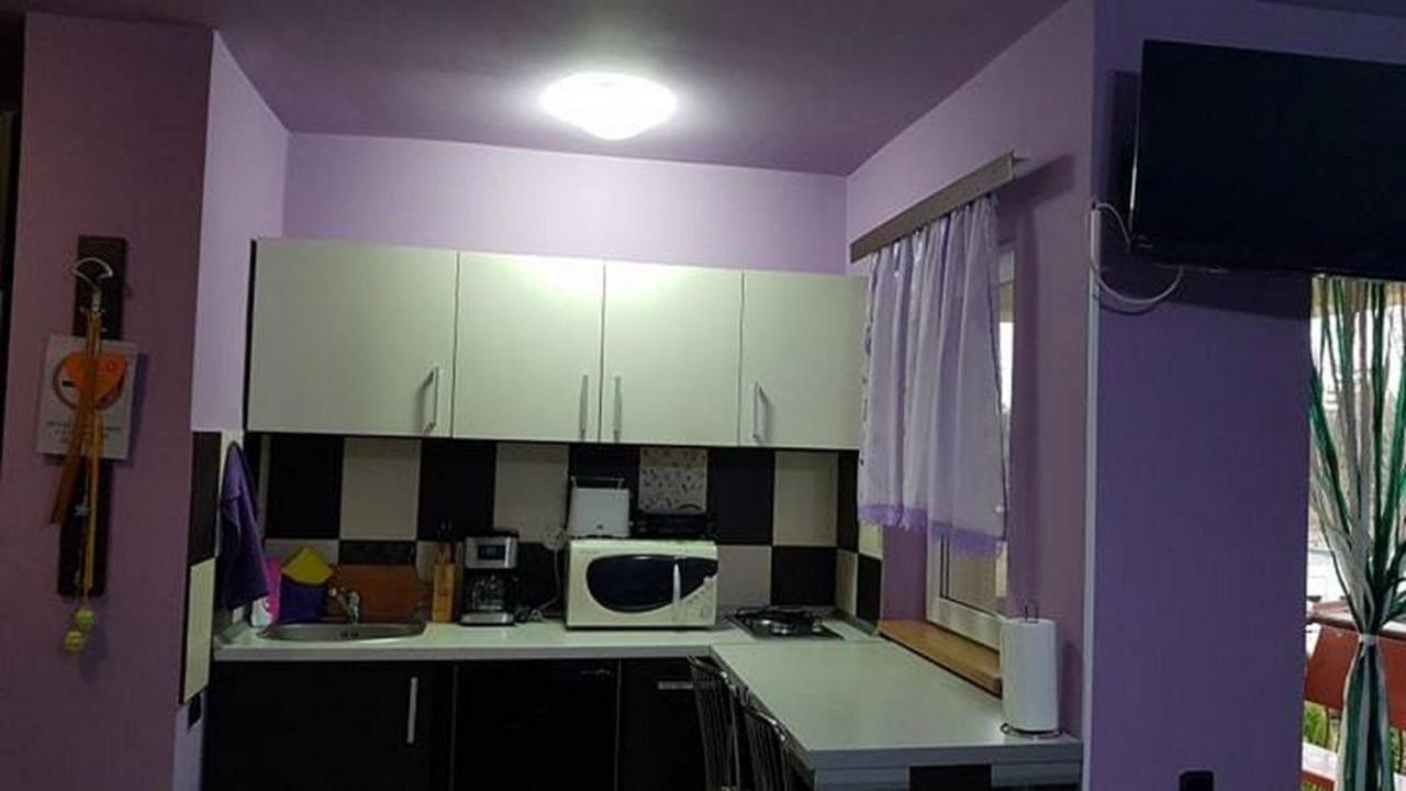 Appartamento Garsoniera Cristina Băile Felix Esterno foto